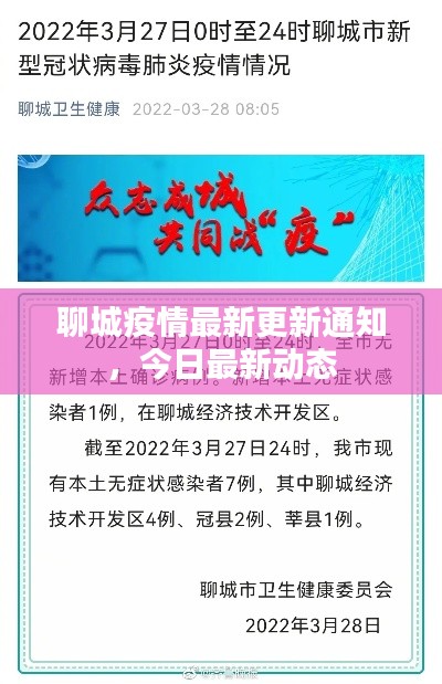 聊城疫情最新更新通知，今日最新动态